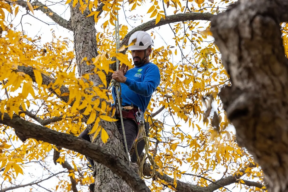 Skilled Storm Damage Cleanup crew working in Pickens